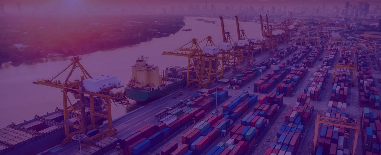 POrt and Terminal Development